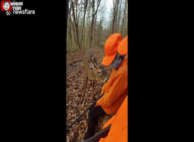 Video :A family of hunters is greeted by a juvenile deer